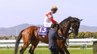 マイルCSは「大荒れ」の予感...馬場と展開が味方する人気急落の実力馬２頭に要注意