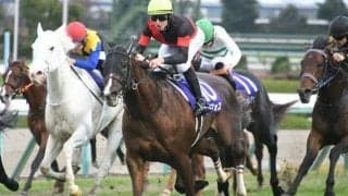 【マイルCS枠順確定】シュネルマイスターは5枠9番、セリフォスは6枠11番