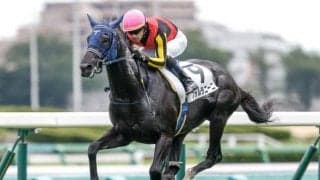 【東スポ杯2歳S枠順確定】シュトラウスは7枠7番、フォルラニーニは8枠9番
