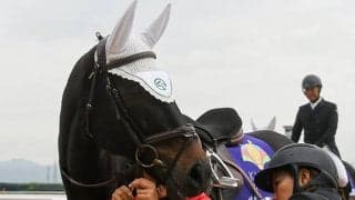 17年覇者ペルシアンナイトがマイルCSのターフに再び 誘導馬として第二の馬生を歩む“今”