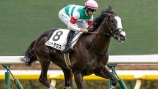 【東スポ杯2歳S予想】クラシック直結の登龍門！ 人気馬の取捨が最大のポイント