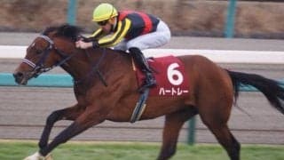 サトノvsショウナンの1億円馬対決！ デビュー戦を制するのは