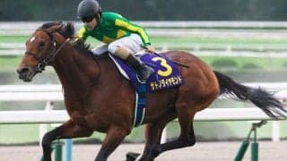兄も伯父もGI馬の良血 マーカンド騎手で初陣V目指す