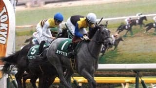 ミヤマザクラが競走馬登録抹消