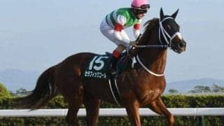 【チャンピオンズC想定馬・騎手】セラフィックコール、レモンポップなど19頭