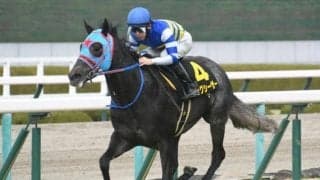 【京阪杯想定馬・騎手】ビッグシーザー、モズメイメイなど19頭