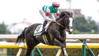 【今日の注目ポイント】東京でGIの登竜門・東スポ杯2歳S