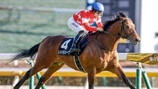 【マイルCS予想】晩秋の陽気が後押し!? 気象予報士が激走注目馬3頭をピックアップ