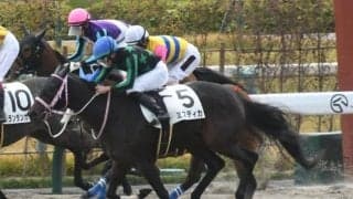【京都4R新馬戦結果】マジェスティックウォリアー産駒のミスティカが差し切りV！