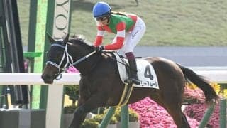 【京都5R新馬戦結果】マクフィ産駒のマリーアムールが鋭く伸びて快勝！