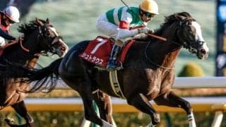 【東スポ杯2歳S結果】ブルーメンブラットの仔シュトラウスが出世レースを制す