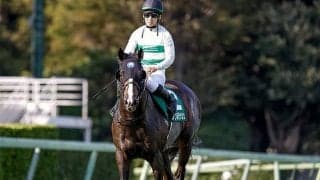 【マイルCS予想】前走のレース格が重要!? 雰囲気にのまれない大舞台への適応力がカギ