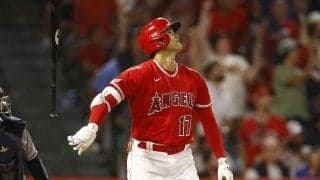 【MLB】「打率トップは移籍先候補」大谷翔平の得意な球場、苦手な球場　二刀流に“理想的”なのは……