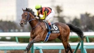 【マイルCS前日オッズ】シュネルマイスターが2.4倍で1番人気