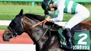 粗品氏のマイルCS予想 「モレイラが魅力的過ぎて」と述べつつも「1着は自信無いかも…」