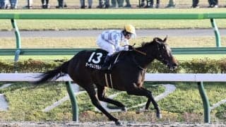 【晩秋S】オーサムリザルトが無傷の4連勝