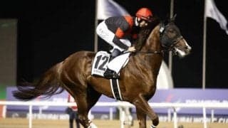 【今日の注目ポイント】京都で秋のマイル王決定戦・マイルCS