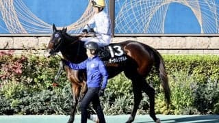 【晩秋S】戸崎「能力を感じます」オーサムリザルト無傷の4連勝でオープン入り