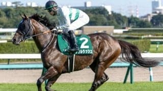 【マイルCS予想】4年ぶりの京都開催 過去3回とは少々趣異なる一戦に