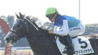 【京都5R新馬戦結果】レイデオロ産駒アドマイヤテラが突き抜け快勝