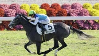 【新馬/京都5R】レイデオロ産駒 アドマイヤテラがデビューV