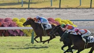 【新馬/京都4R】良血シヴァースがデビュー勝ち…母はヴィブロス