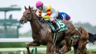 【園田・兵庫ジュニアGP枠順】函館2歳S覇者ゼルトザームは4枠4番、5連勝中のトラジロウは7枠10番