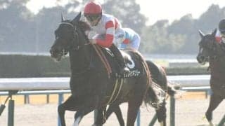 【秋明菊賞結果】セレクト2億超の高額馬 ダノンマッキンリーが突き抜けデビュー2連勝