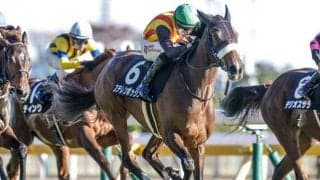 【赤松賞結果】ステレンボッシュが直線の追い比べを制す