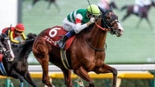 【マイルCS】紅一点ナミュールが悲願のGI初制覇！ 急遽乗り替わりの藤岡康太騎手がビッグタイトルに導く