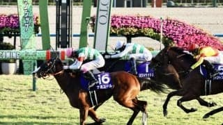 【マイルCS】代打騎乗・藤岡康太、ナミュールが直線ごぼう抜き