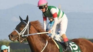 【チャンピオンズC登録馬】無傷5連勝中のセラフィックコール、南部杯を大差圧勝のレモンポップなど19頭