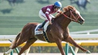 【京都2歳S】シンエンペラー、ギャンブルルームらが登録