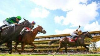 ジャパンC参戦のイレジンが来日 自国厩舎から31時間の輸送