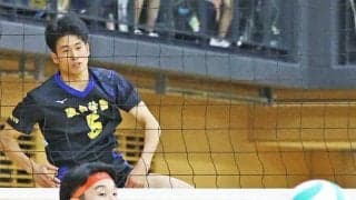 春高バレー東京都代表に男子は駿台学園など、女子は下北沢成徳など　各３チームが決定