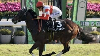 【秋明菊賞】断然人気ダノンマッキンリーがデビュー2連勝