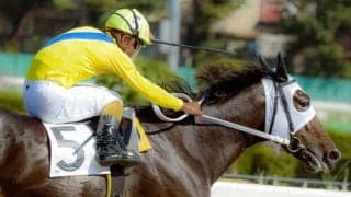 千葉ロッテ・吉井理人監督所有のリジンが無傷5連勝 馬なりのまま後続を“完封”