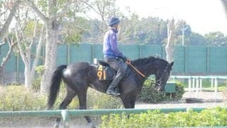 叔父にドゥラメンテがいる良血馬コンテネレッツア 初陣に向けて調整順調/関東馬メイクデビュー情報