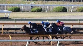 追い切りの動き・タイムともに上々 キズナ産駒のメイクユーマインなど/関西馬メイクデビュー情報