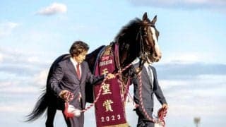 ジャパンCを勝てば総賞金22億円で歴代1位 イクイノックスがアーモンドアイ超えなるか