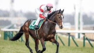 【AI予想・ジャパンC】豪華メンバーが集結した一戦！ 波乱を予感させる人工知能の本命候補とは