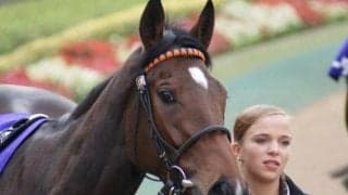 ジャパンCに参戦した凱旋門賞馬を振り返る トニービンやアーバンシー、バゴなど名種牡馬、名繁殖牝馬がズラリ