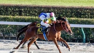 【浦和・浦和記念枠順】テンカハルは6枠7番、ヒーローコールは7枠9番