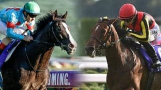 ジャパンC想定騎手20頭 イクイノックスはC.ルメール騎手、リバティアイランドは川田将雅騎手