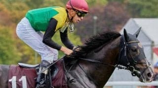 昨年の凱旋門賞組が揃い踏み 実力派3頭のジャパンCでの走りは果たして