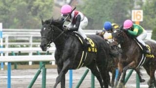 【京阪杯想定騎手】ルガルは西村淳也騎手、エイシンスポッターは角田大河騎手