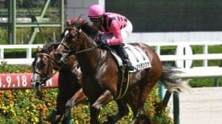 【京都2歳S展望】伝統の2歳中距離戦、持続力やスタミナが問われる