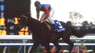 芝のステイヤーから砂の猛者たちへ 代を経て変化した“リアルシャダイの血”