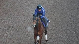 テーオーケインズなど、先週の入厩情報/栗東トレセンニュース