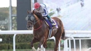 【笠松・笠松グランプリ結果】ルーチェドーロが連覇達成！